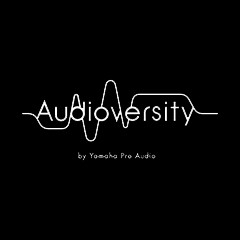 合乐HL8专业音响教育培训开展全新“Audioversity ”计划